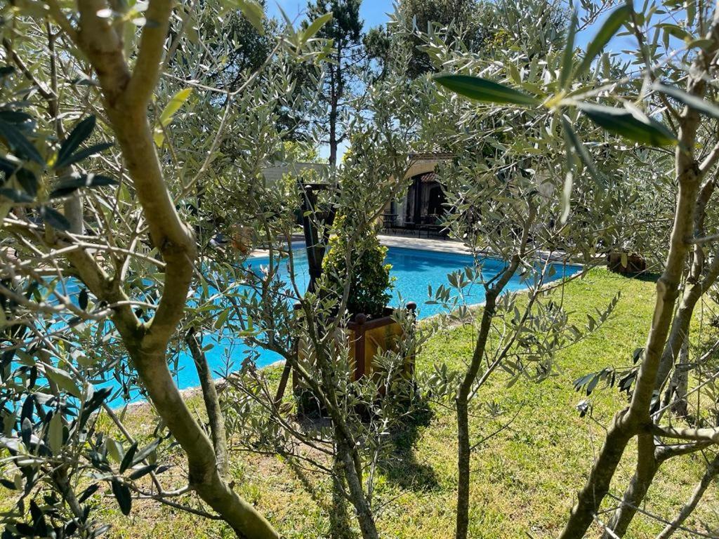 Gite Au Coeur De La Provence & Spa Saint-Cannat Exterior foto